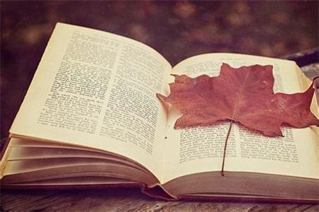 云南曲靖自考报名费用是多少？